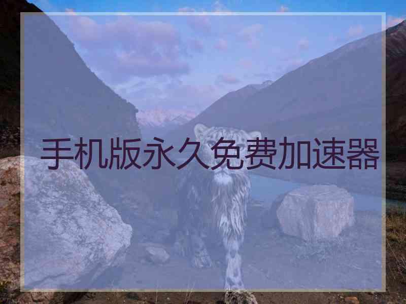 手机版永久免费加速器