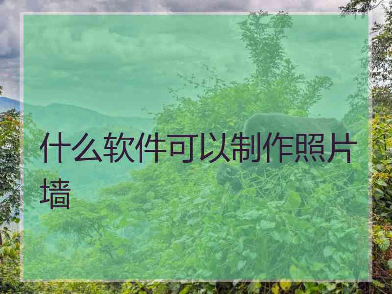 什么软件可以制作照片墙