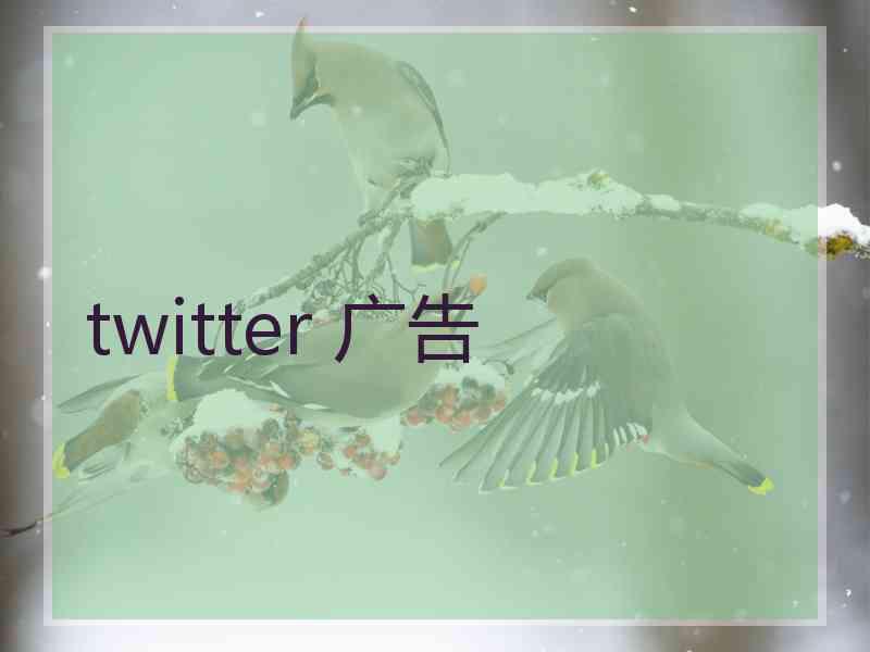 twitter 广告