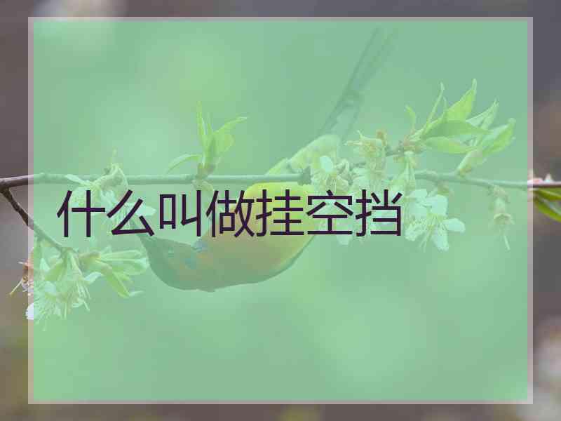 什么叫做挂空挡