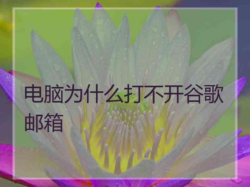 电脑为什么打不开谷歌邮箱