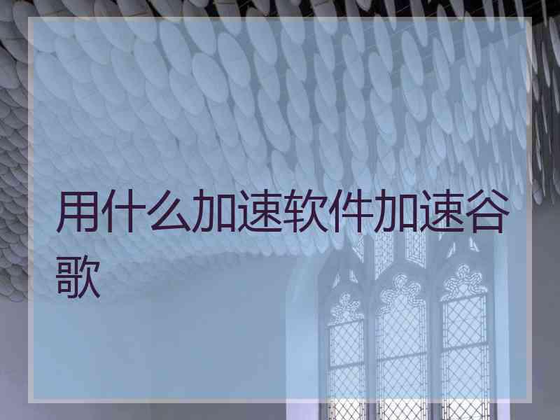 用什么加速软件加速谷歌