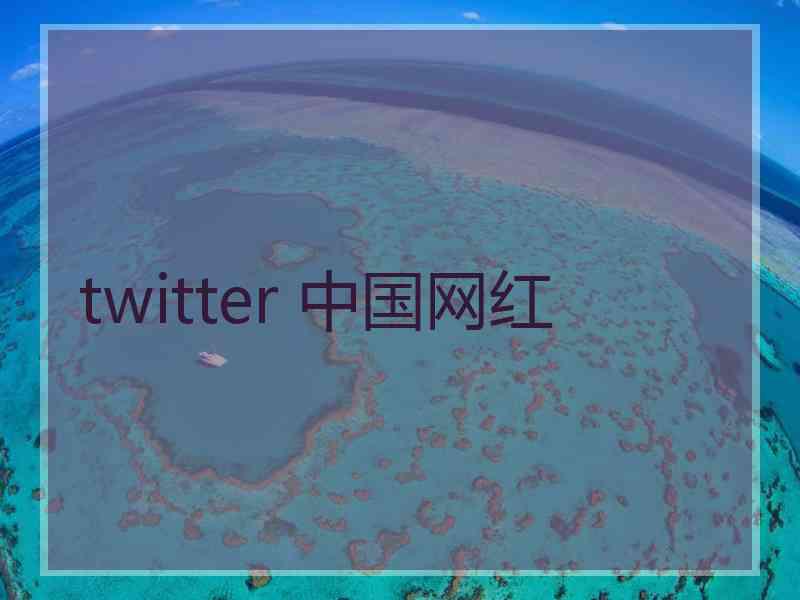 twitter 中国网红