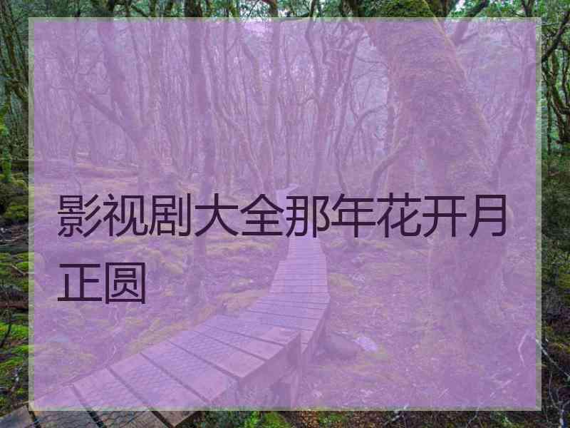 影视剧大全那年花开月正圆