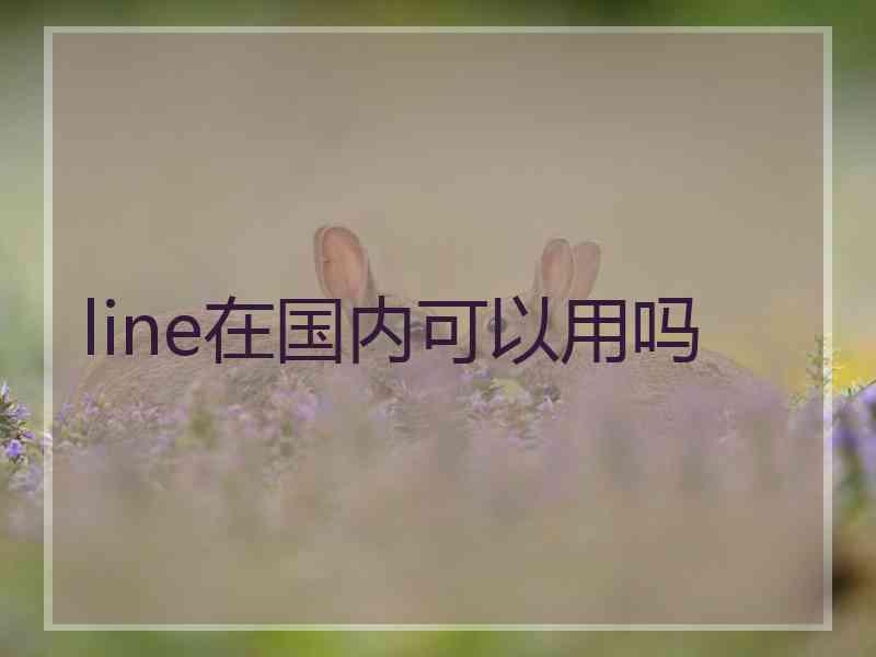 line在国内可以用吗