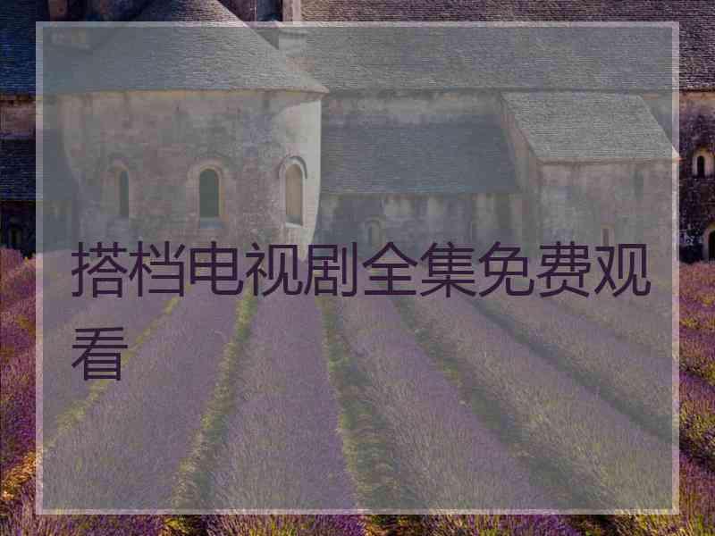 搭档电视剧全集免费观看