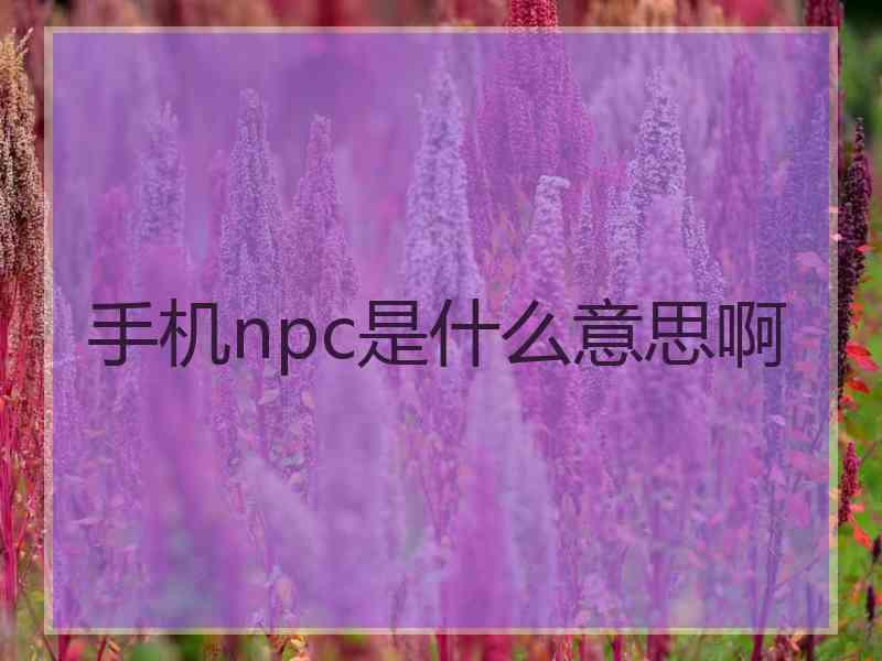 手机npc是什么意思啊