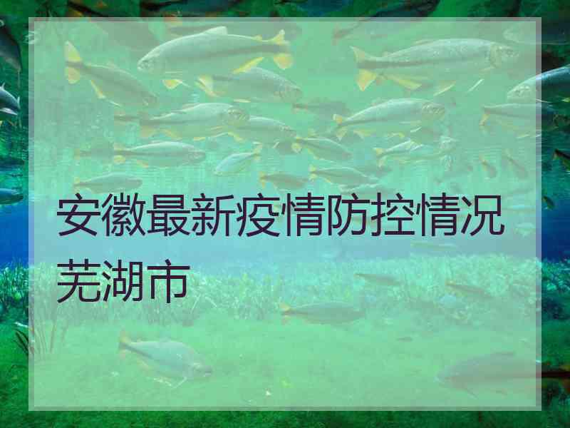 安徽最新疫情防控情况芜湖市