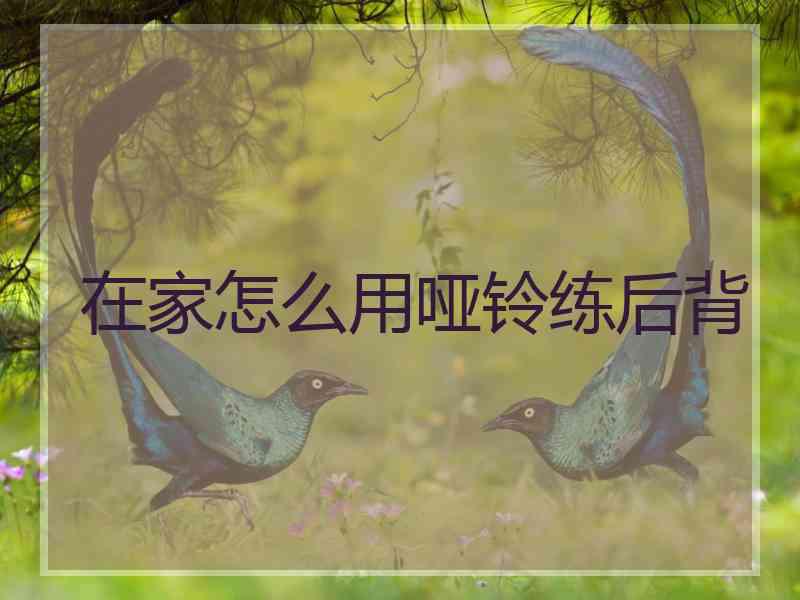 在家怎么用哑铃练后背