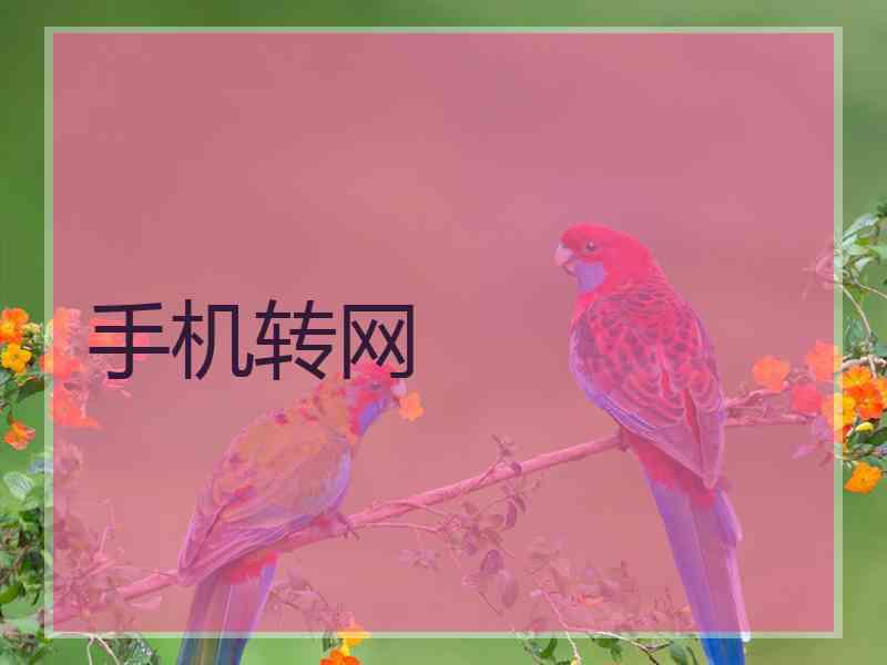 手机转网