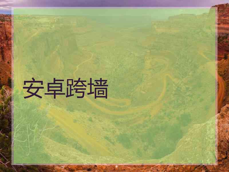 安卓跨墙