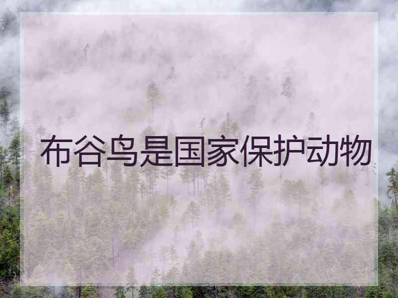 布谷鸟是国家保护动物