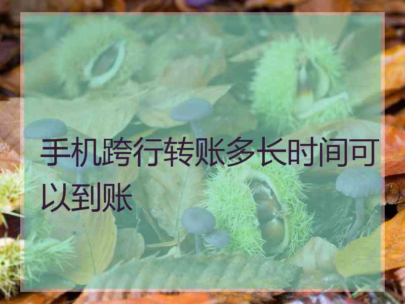 手机跨行转账多长时间可以到账