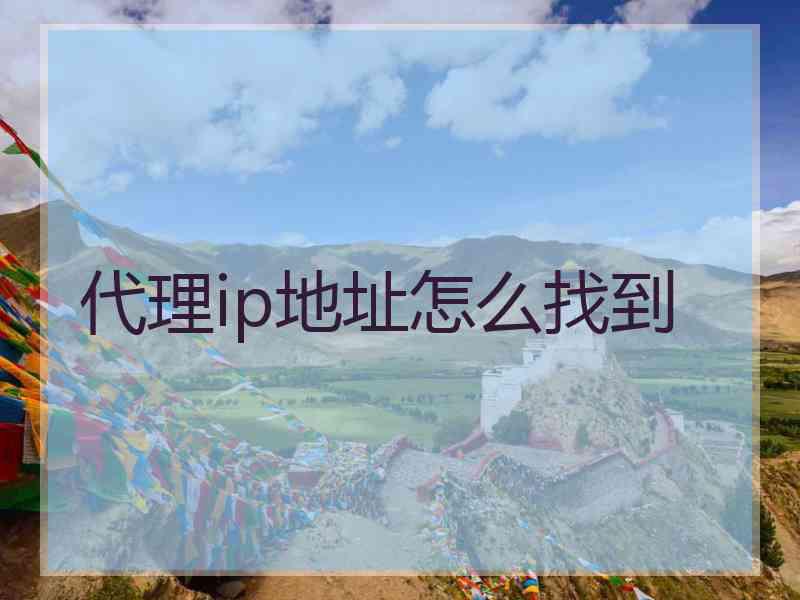 代理ip地址怎么找到