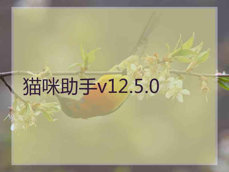 猫咪助手v12.5.0