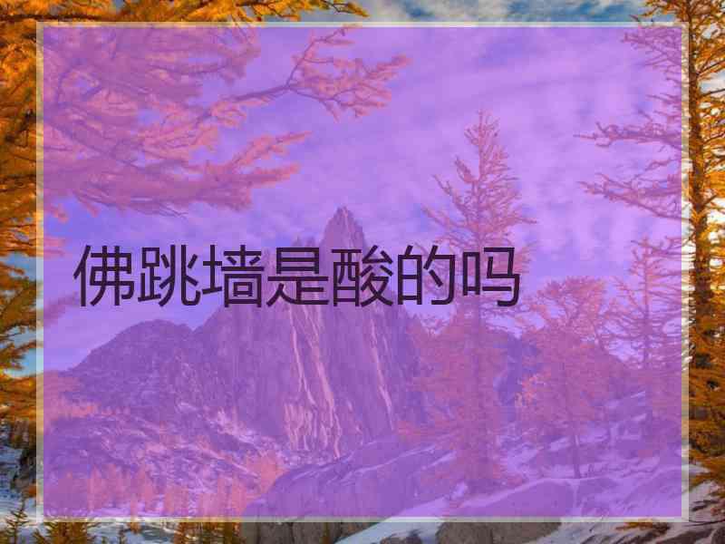 佛跳墙是酸的吗