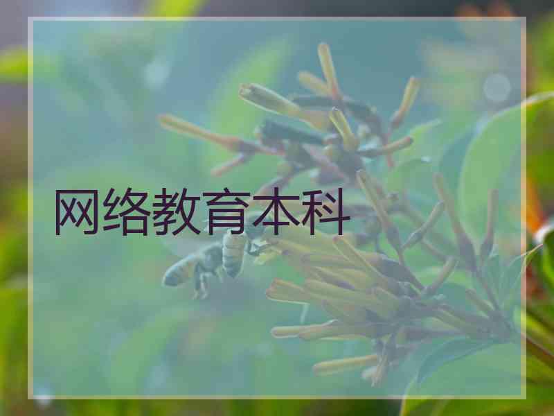 网络教育本科
