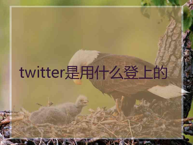 twitter是用什么登上的
