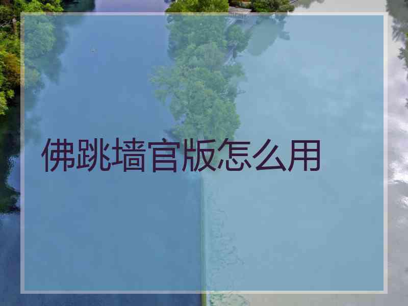 佛跳墙官版怎么用
