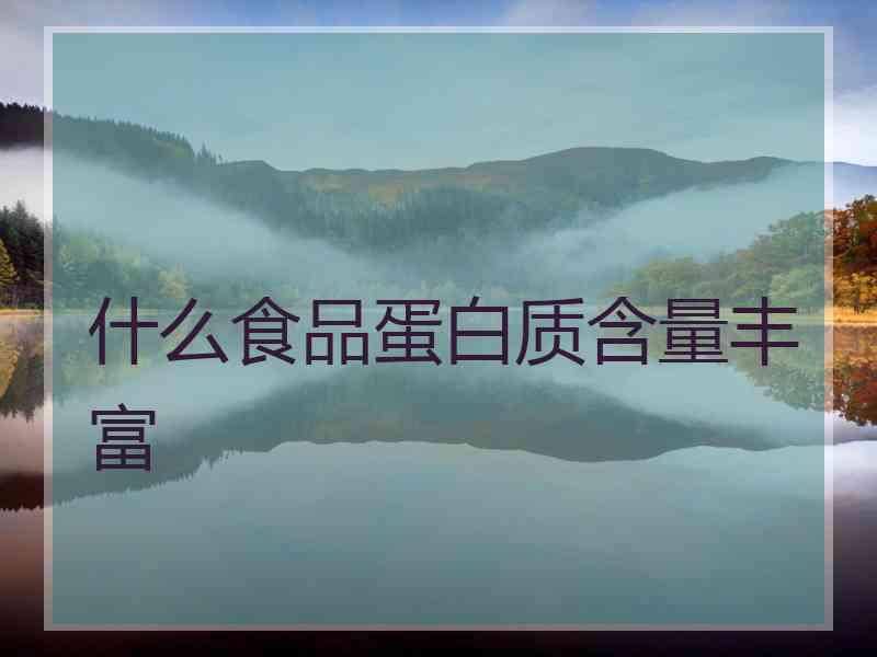 什么食品蛋白质含量丰富