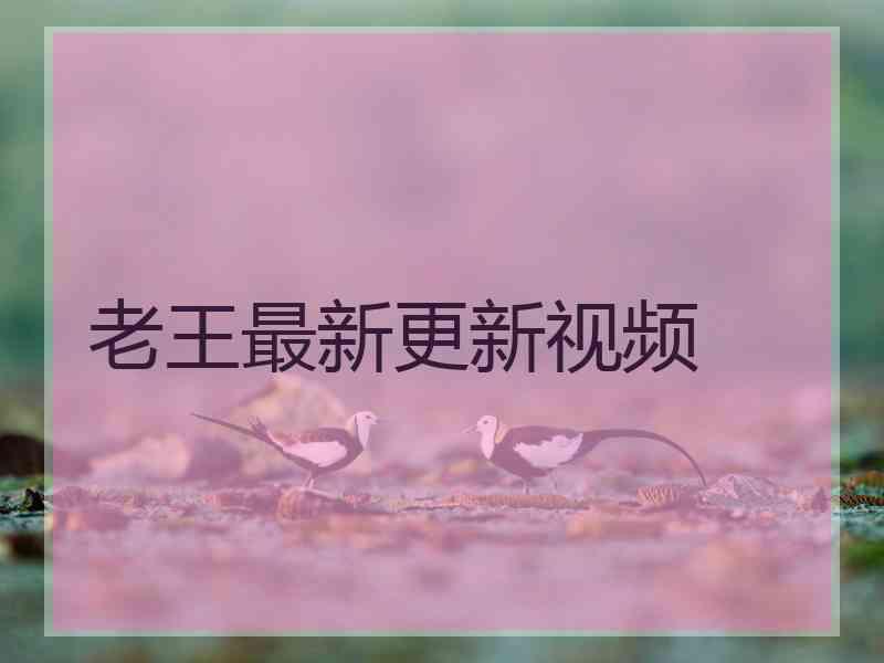 老王最新更新视频