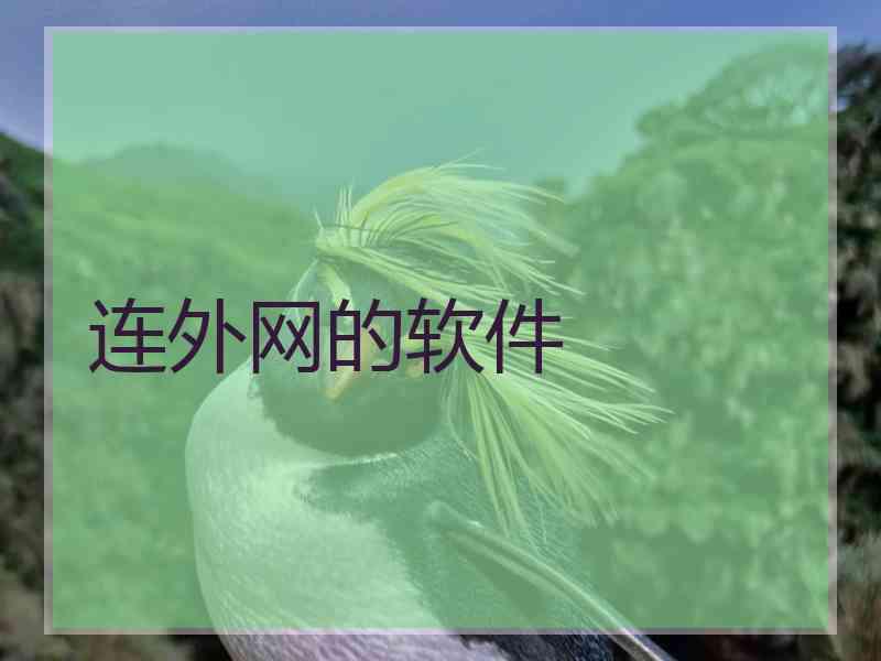 连外网的软件