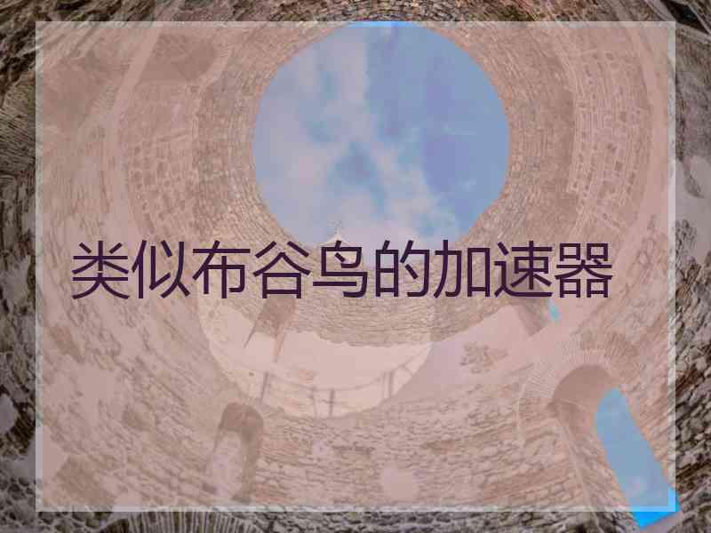 类似布谷鸟的加速器