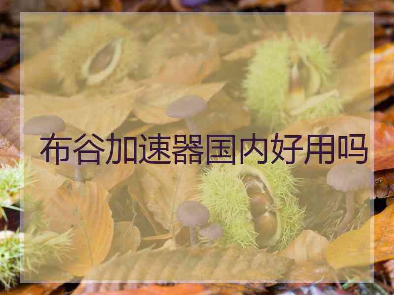 布谷加速器国内好用吗