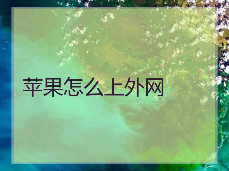苹果怎么上外网