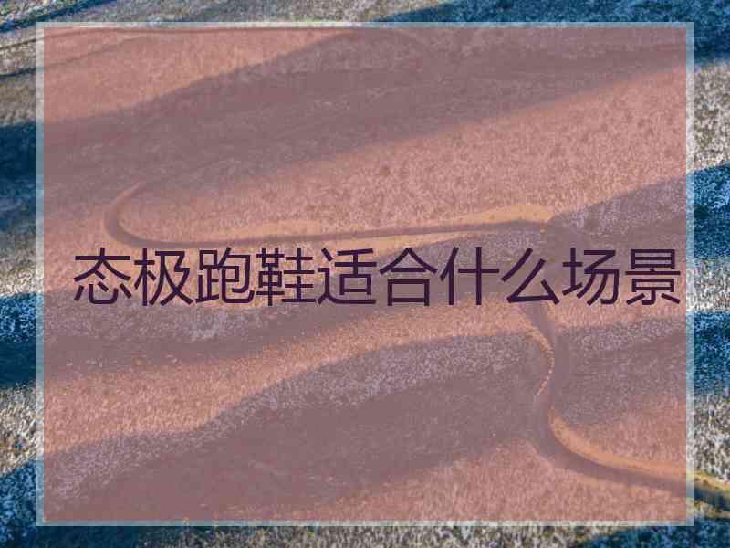 态极跑鞋适合什么场景