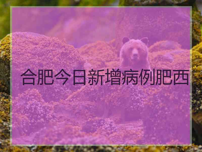 合肥今日新增病例肥西