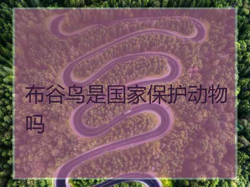 布谷鸟是国家保护动物吗