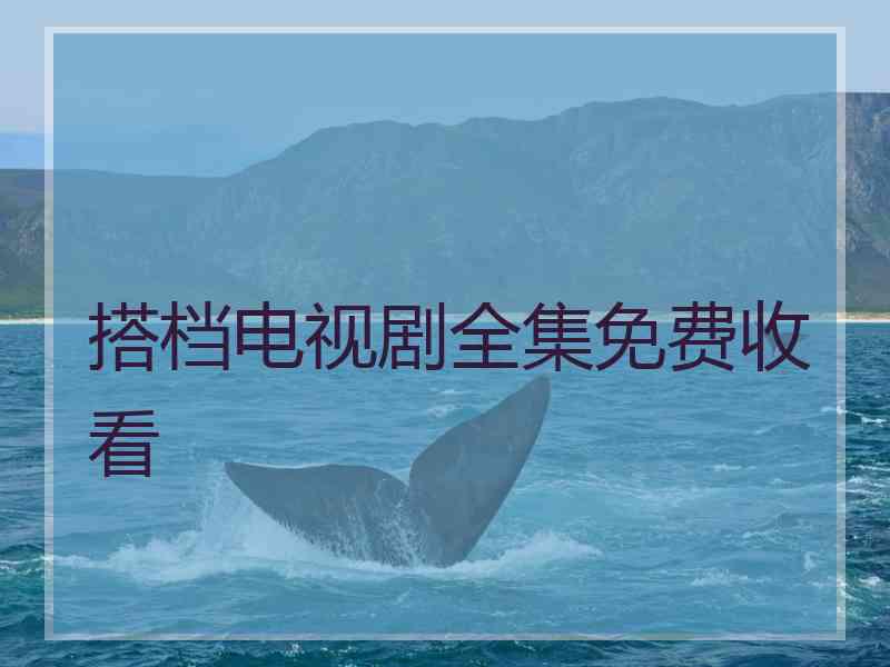 搭档电视剧全集免费收看