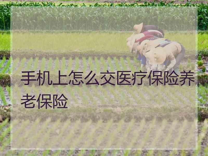 手机上怎么交医疗保险养老保险