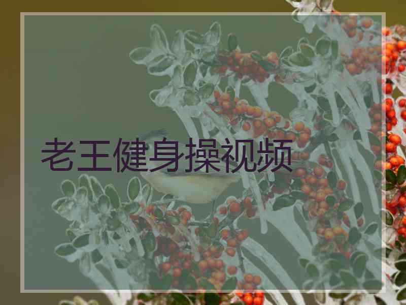老王健身操视频