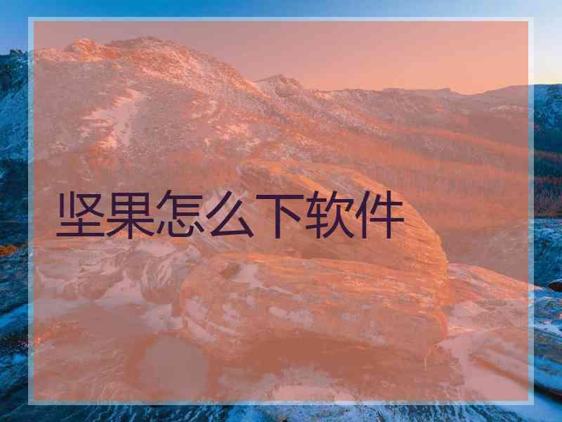 坚果怎么下软件