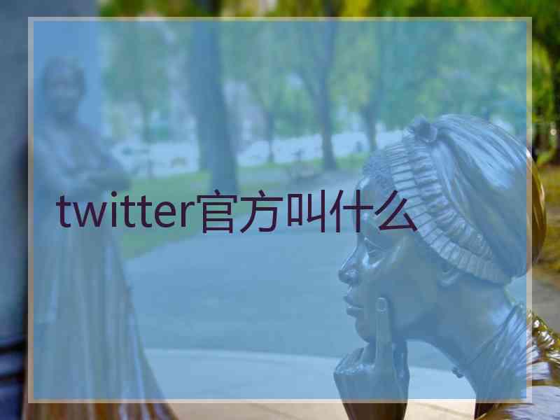 twitter官方叫什么