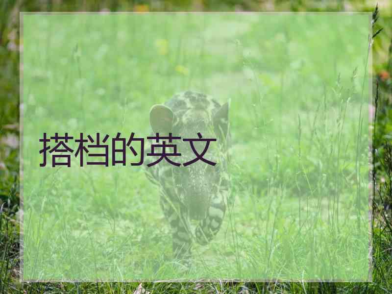 搭档的英文
