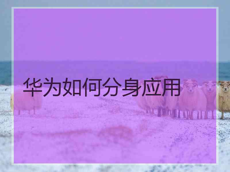 华为如何分身应用