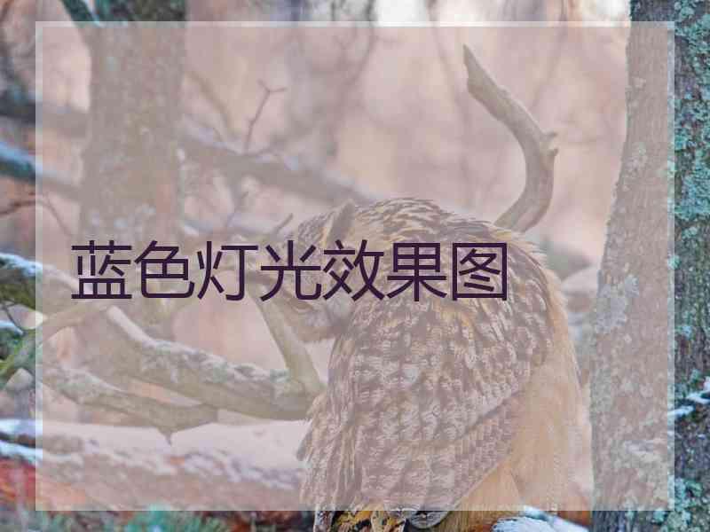 蓝色灯光效果图