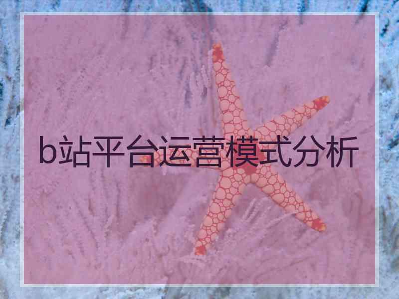 b站平台运营模式分析