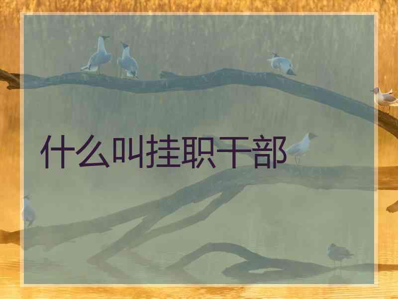 什么叫挂职干部