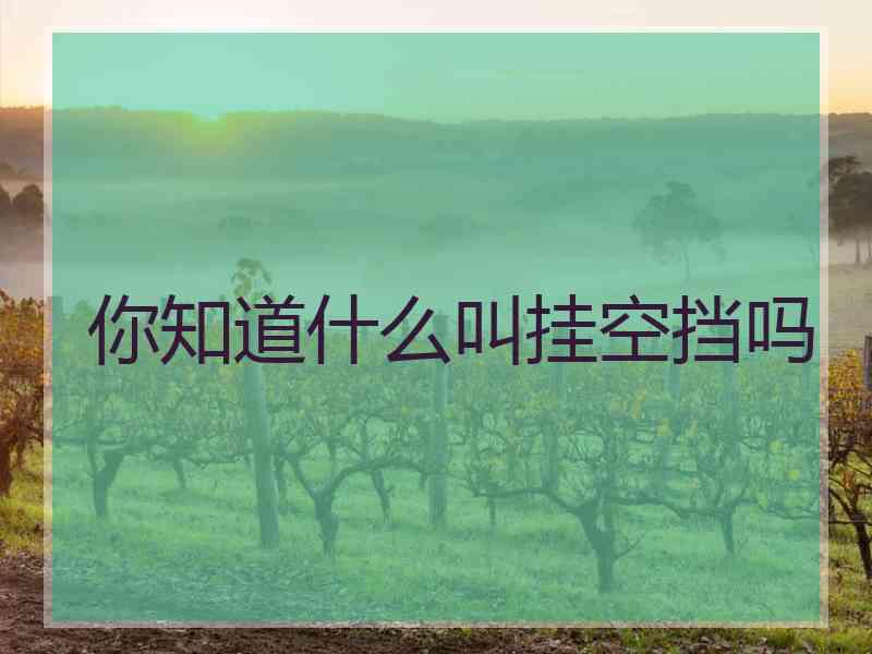 你知道什么叫挂空挡吗