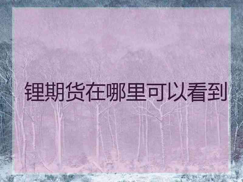 锂期货在哪里可以看到