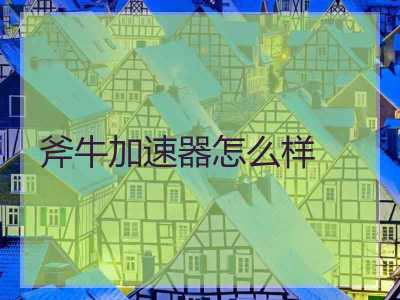 斧牛加速器怎么样