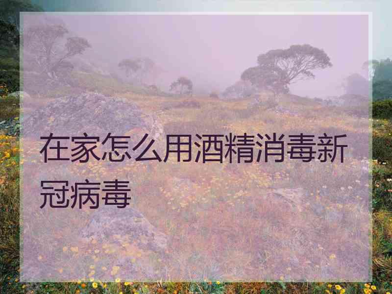 在家怎么用酒精消毒新冠病毒