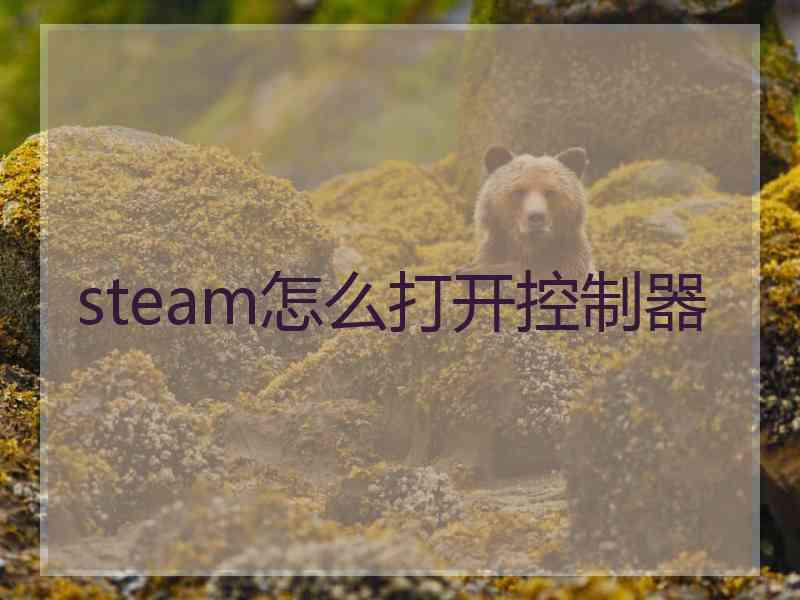 steam怎么打开控制器