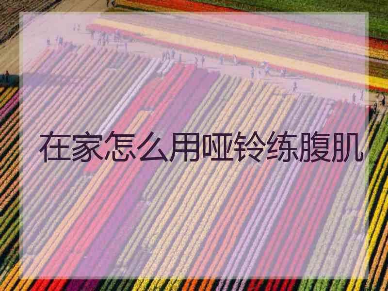 在家怎么用哑铃练腹肌