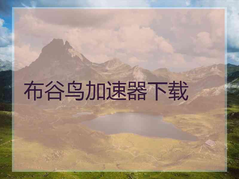 布谷鸟加速器下载