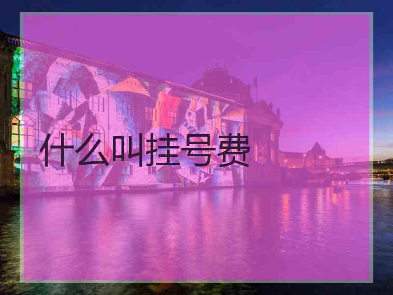 什么叫挂号费
